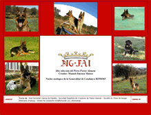Tablet Screenshot of big-fai.com